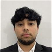 Profesor particular de matemática e/o inglés nivel primario/ secundario