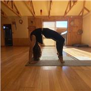 Clases de yoga para principiantes