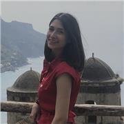 Ipek