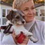 Learn English or Polish with a friendly, patient tutor who brings real-world international business experience   