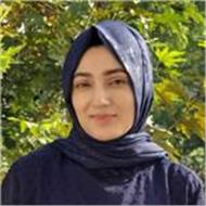 Rukhsar