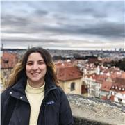 Teacher of English as a Foreign Language- Teacher of Business English - Teacher of International Exams - Conversations