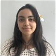 Persona con nivel alto en frances y quiero dar clases a los niños