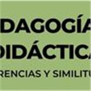 📚 La pedagogía en acción: Español para extranjeros desde la infancia hasta adultos