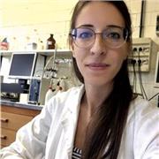 Ricercatore/docente universitario offre lezioni di chimica per superiori e università sia in presenza che da remoto.