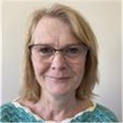 Tailored EFL lessons of all levels