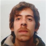 Docente di lingua e cultura inglese offre ripetizioni e aiuto compiti di lingua a qualsiasi livello