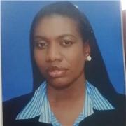 ingeniero de sistema