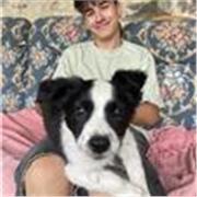 Estudiant de Filologia Catalana amb experiència impartint classes de repàs :)