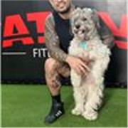 Profesor de educación física y entrenador personal con 5 años de experiencia