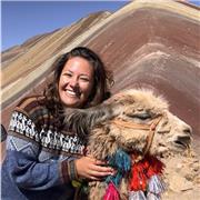 Professeure freelance indépendante donne Cours d'espagnol niveau débutant à B2