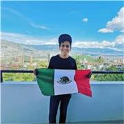 Clase particular y/o grupal en línea o presencial sketchup, renderizado, diseño de ins eléctricas, hidro sanitarias y urbanismo