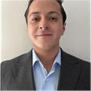 Maestro para asesoría de matematicas, niveles de preescolar a preparatoria