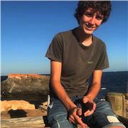 Enseño matemáticas orientado a ESO, primaria y 1 de bachillerato