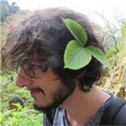 Professeur/mentor d'Informatique - 15 ans d’expérience dont 5 en tant que développeur d'applications pour bureau/web et mobile.