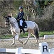 Cours d'équitation théorique, pratique, RLM, niveau club, galop 1 à 7