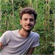 Laureato in Ingegneria Elettronica offre lezioni di Matematica, Fisica, Geometria, Elettronica e Elettrotecnica