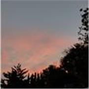 Clases particulares español todos los niveles