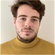 Insegnamento lingue e letterature straniere