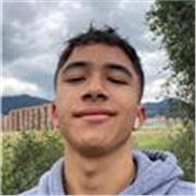 Profesor de Matemáticas Modalidad Online