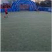 Clases de Fútbol Personalizadas para Niños - Técnica, Regate y Fundamentos