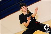 Clases de KUNG FU WUSHU en Madrid, Online resto de España