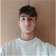 Studente Ingegneria al Politecnico di Torino offre lezioni in matematica di tutti gli anni, lezioni sia in presenza che online