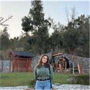 Clases de inglés particulares online, presenciales a convenir