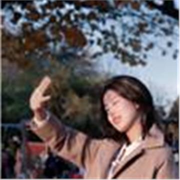 Jingci