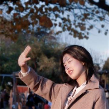 Jingci