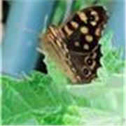 Soy monitora / educadora de educación especial .
Trabajo con niños adolescentes con necesitas especiales 