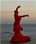 Clases de Baile Flamenco y Danza Española. Ballet