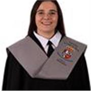 Imparto clases de apoyo escolar según las necesidades del alumno y el nivel educativo. 