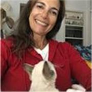 Profesora de inglés dicta clases a nińos de todas las versación para viajes,entrevistas,etc