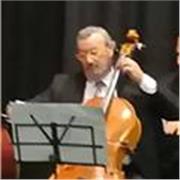 Insegnante professionista, impartisce lezioni di violoncello e teoria musicale, in presenza e online