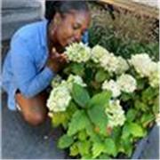 I am a native speaker English speaker, Master’s student with over 7 years of education, tutoring and facilitation experience