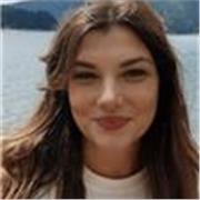 Offro lezioni private a ragazzi di scuola media per letteratura italiana, storia , grammatica , cittadinanza 