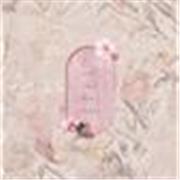 Native Arabic tutor teaching Arabic to motivated students.