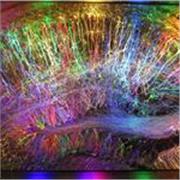 Profesora actualmente estudiando biología queriendo enseñar lo que sabe.