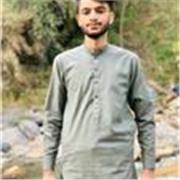 I am urdu and Quran tutor snd only providing lessons to children