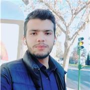 profesor profesional de ingles y matematicas basicas para niños