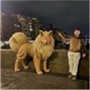 Profesional titulado con una amplia experiencia; empatía, apoyo y motivación.