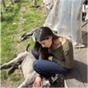 Supporto compiti per bambini delle elementari con metodo sereno e efficace