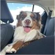 Jeune homme de 27 ans, le plus âgée de mes frères et soeurs avec une grande passion pour l’apprentissage 