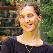 Lezioni di storia dell' arte per tutte le classi