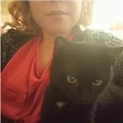 Insegnante per ragazzi dalle elementari alle superiori