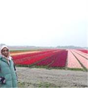 Prof d'Anglais expérimentée - Collège, Lycée, Préparation Bac et Adultes