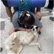 Me considero una persona muy risueña, con don de gentes, muy responsable y podría ser capaz de dar clases de cualquier edad!