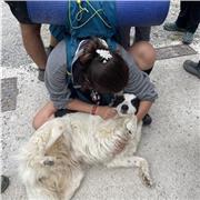 Me considero una persona muy risueña, con don de gentes, muy responsable y podría ser capaz de dar clases de cualquier edad!