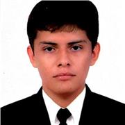 Profesor de primaria en todas las áreas pero preferiblemente en sociales